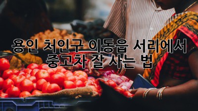 용인 처인구 이동읍 서리에서 중고차 잘 사는 법!